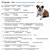 dog tales nova worksheet answer key