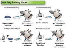 dog learning theory Operant conditioning explanatory diagram for
