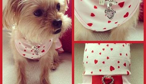 Dog Valentine Outfit