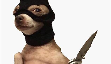 Chihuahua With Knife And Ski Mask Meme - Pets Lovers