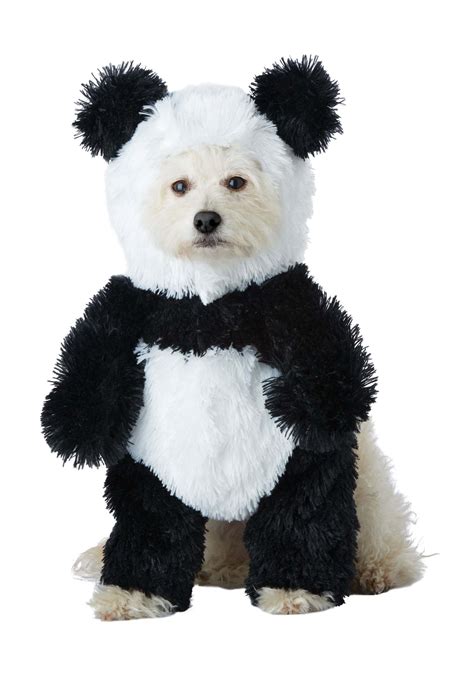 Costumes available on Panda puppy, Panda dog
