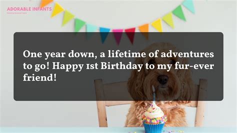 Dog 1st Birthday Instagram Captions