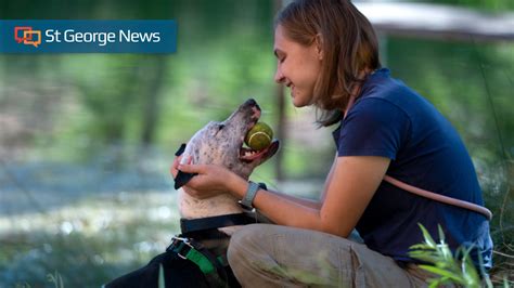 dog adoptions st george ut