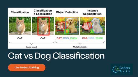 Dog And Cat Classification Using Cnn