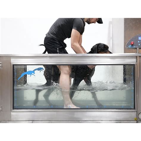Dog Aqua Treadmill