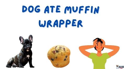 Dog Ate Muffin Paper