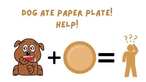 Dog Ate Paper Plate