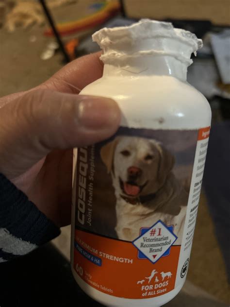 Dog Ate Supplement Pills