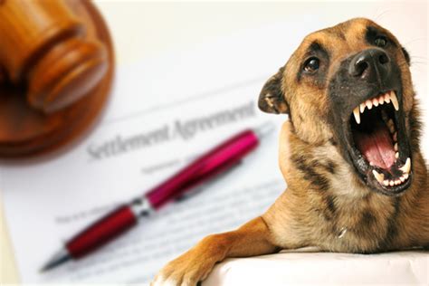 Dog Attack Lawsuit Cases