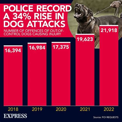 Dog Attack Statistics Uk