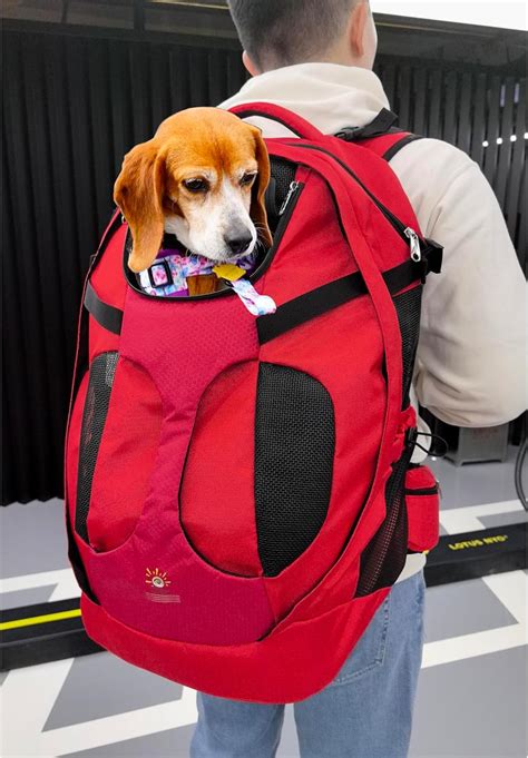 Dog Backpack 35 Lbs