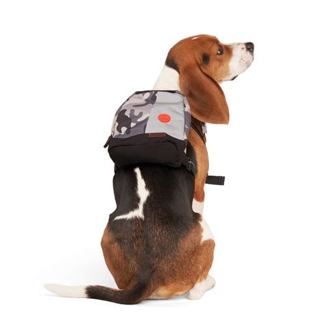 Dog Backpack Petco