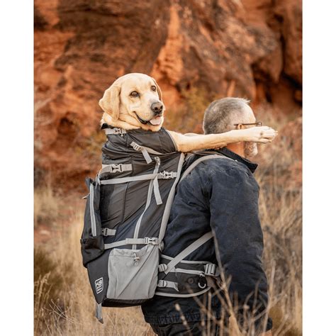 Dog Backpack Xl
