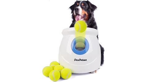 Dog Ball Throwing Machine Reviews