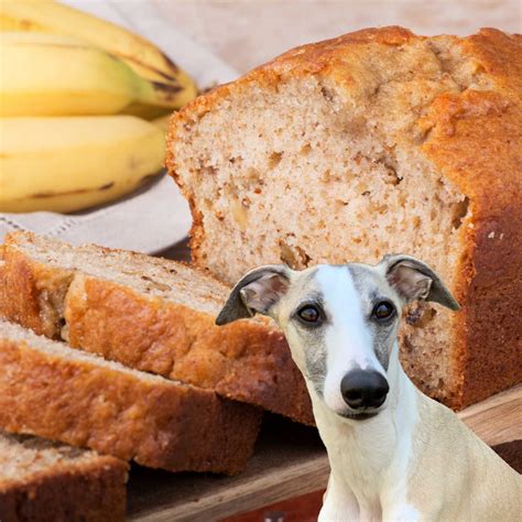dog banana bread