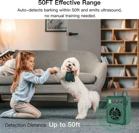 Dog Bark Control Training