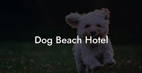 dog beach resort in new york city