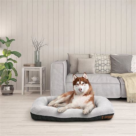 Dog Bed Academy