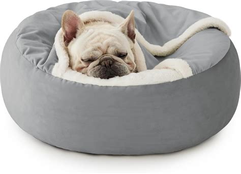 Dog Bed Amazon Medium