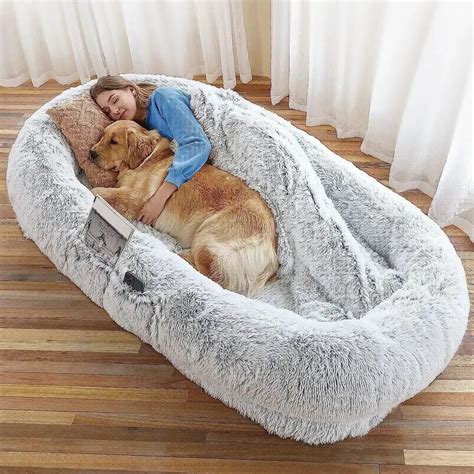 Dog Bed At Human Bed Height