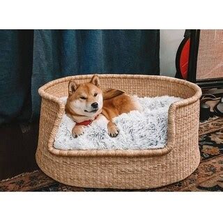 Dog Bed Bath And Beyond