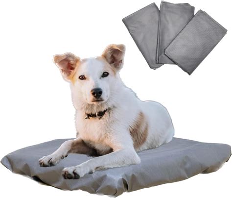 Dog Bed Covers Disposable