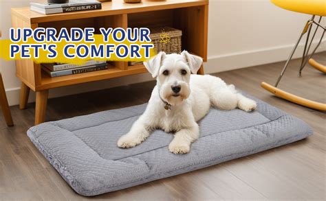 Dog Bed Dog Mat