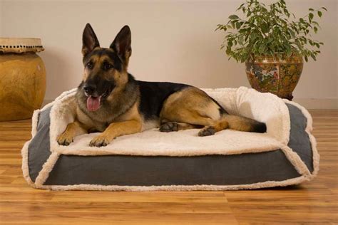 Dog Bed For German Shepherd In Canada