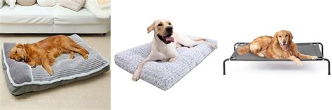 Dog Bed For Gsd