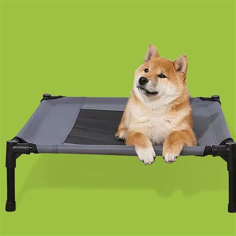 Dog Bed Frame Amazon