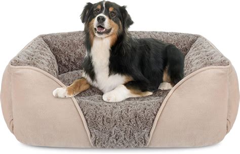 Dog Bed In Amazon