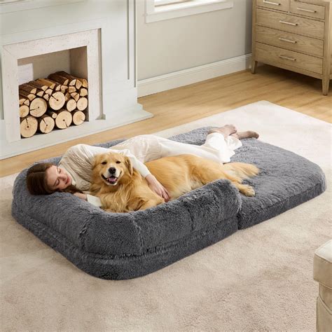 Dog Bed In Unit