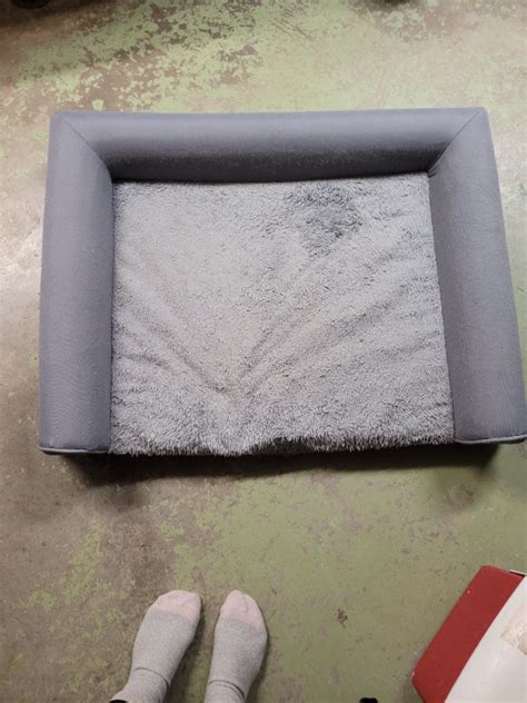 Dog Bed Kijiji London Ontario