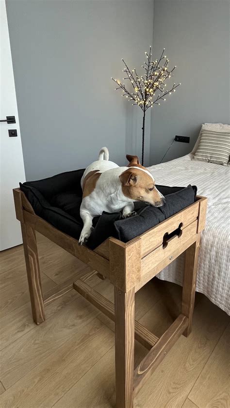 Dog Bed On Platform