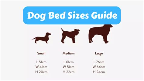 Dog Bed Size Guide