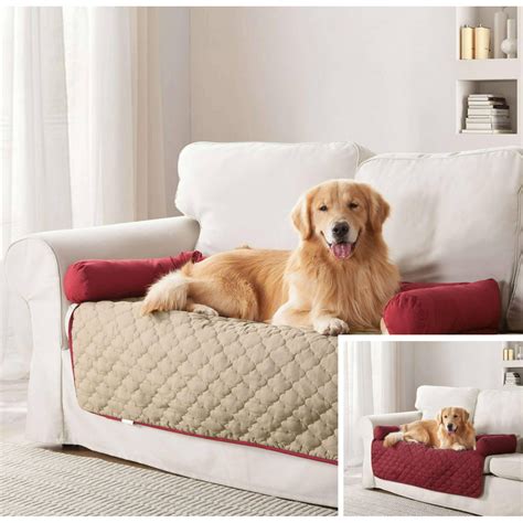 dog beds for the sofa
