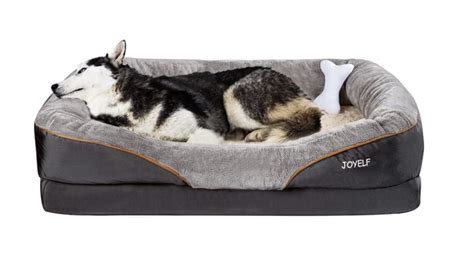 Dog Beds Large Best