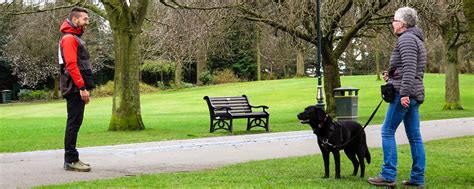 Dog Behaviour Training Edinburgh