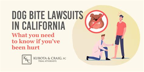 dog bite attorney california lawsuit