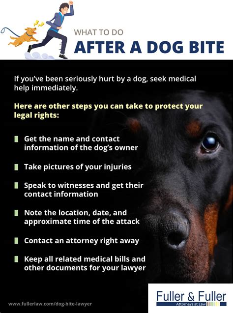 dog bite attorney near me compensation