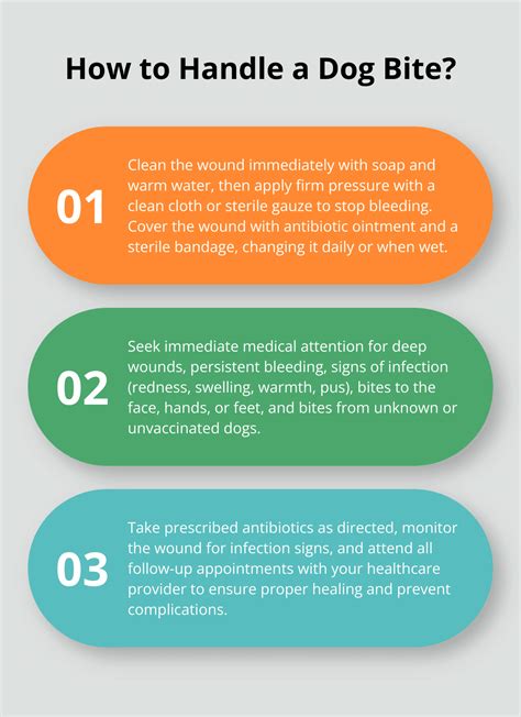 Proper Dog Bite Care: A Guide to Prevent Infection