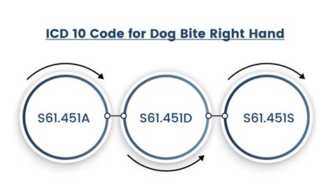 Dog Bite Penal Code