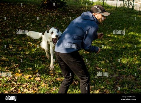 dog bites a man