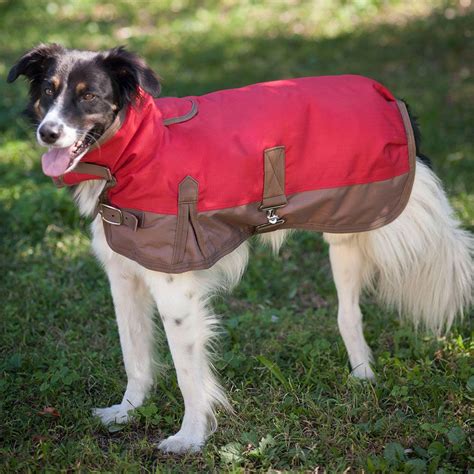 dog blanket coats for winter