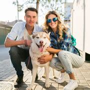 Dog Boarding Dubuque