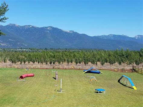 Dog Boarding Kalispell