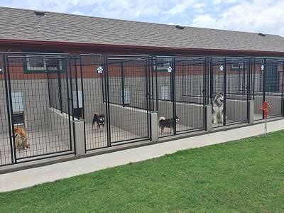 dog boarding kennels christchurch nz