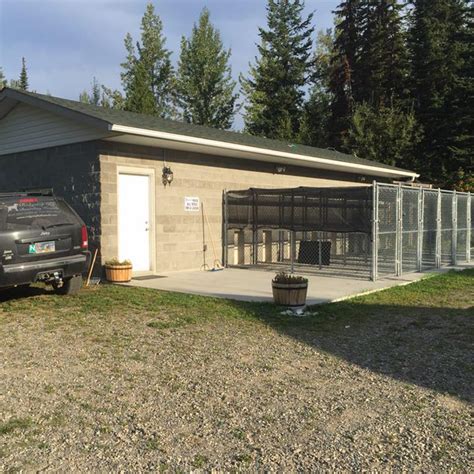 Dog Boarding Quesnel Bc