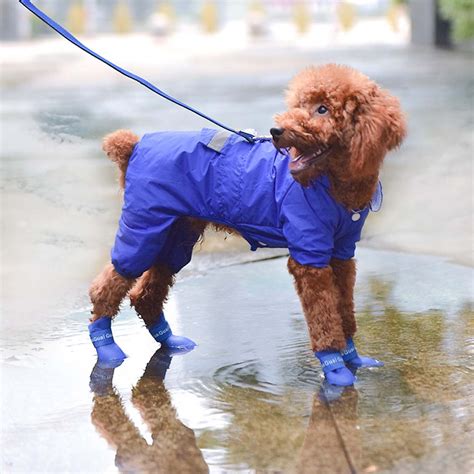 Dog Boots Rain