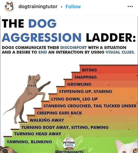 dog breed aggression study